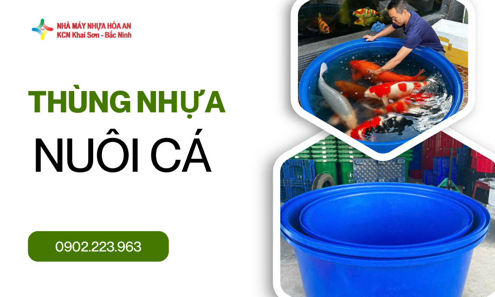 4 Lưu ý khi mua thùng nhựa nuôi cá - Đừng bỏ qua nếu muốn nuôi cá hiệu quả
