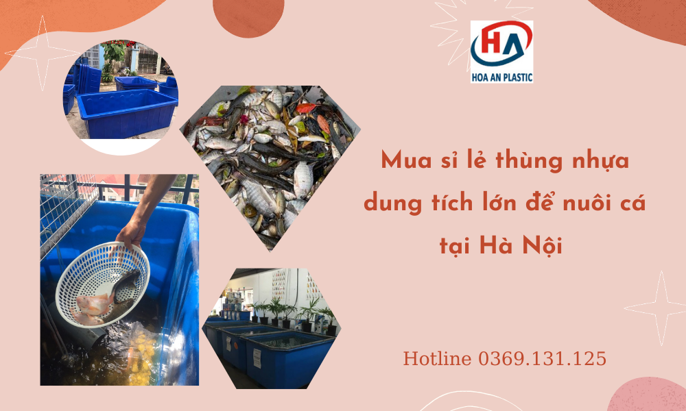 Mua sỉ lẻ thùng nhựa dung tích lớn để nuôi cá tại Hà Nội 