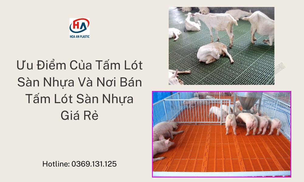 Ưu Điểm Của Tấm Lót Sàn Nhựa Và Nơi Bán Tấm Lót Sàn Nhựa Giá Rẻ